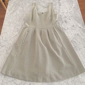 Banana Republic Fit & Flare Dress